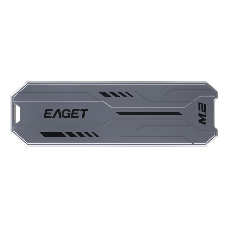 (EAGET)忆捷M.2固态硬盘HM05高速存储硬盘256G