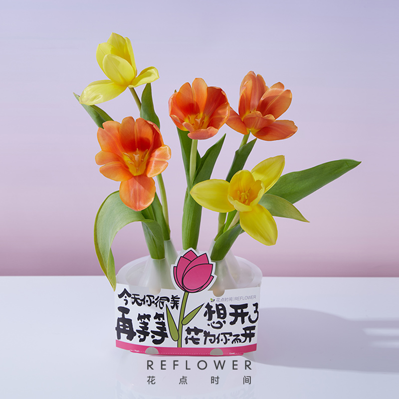 花點(diǎn)時(shí)間開門紅專屬定制郁金香-花為你開